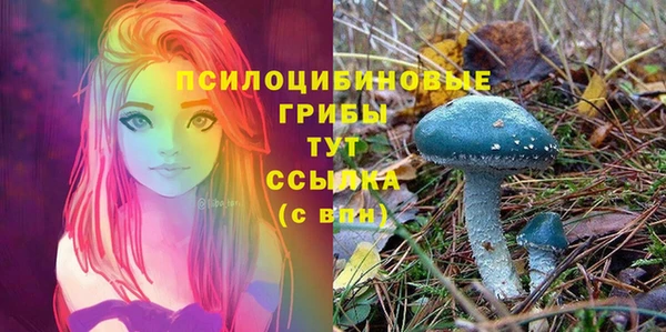 jwh Протвино