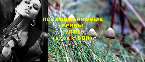 jwh Протвино
