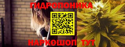 гашишное масло Новозыбков