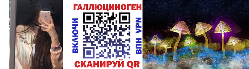 Псилоцибиновые грибы GOLDEN TEACHER  где купить наркоту  Богородицк 
