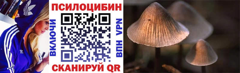 Галлюциногенные грибы Psilocybine cubensis Богородицк
